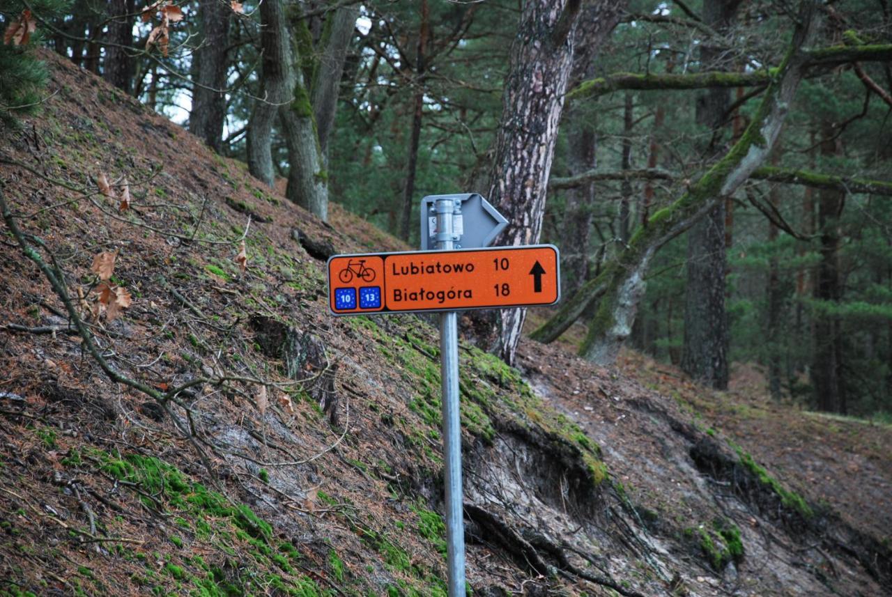 Forest House Sasino-Spa Sauna Balia Esterno foto